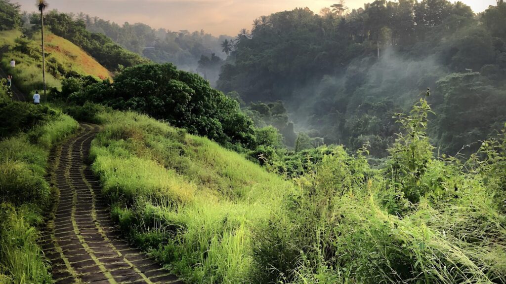 campuhan ridge walk