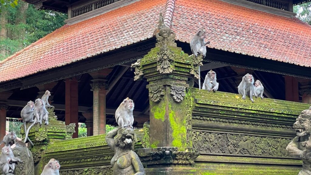 sacred monkey forest sanctuary